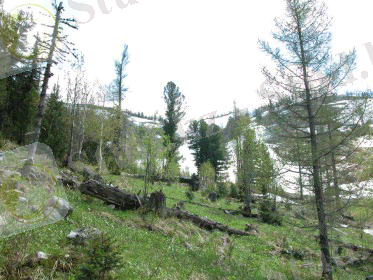 http://klimovka.kz/pages/m5/hex4.gif