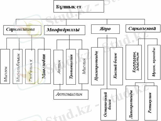 http://portal.agun.kz/e-books/content/krzrHpHPcumjz4712SNs/pages/6.files/image004.jpg