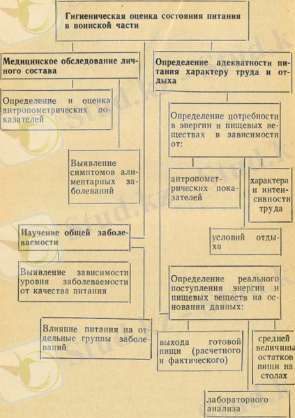 image6