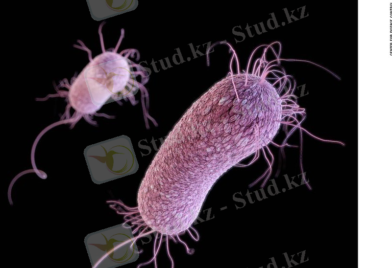 http://i2.cdn.turner.com/cnnnext/dam/assets/130916171000-multi-drug-resistant-pseudomonas-aeruginosa-horizontal-large-gallery.jpg