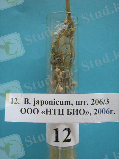 http://www.ru.all.biz/img/ru/catalog/976966.jpeg
