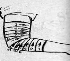 http://portal.vkgu.kz:1010/1968/Unita1/1.4.files/image004.jpg