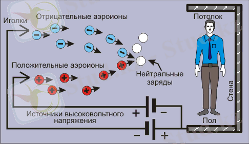 C:\Users\Аксауле\Downloads\bipolar.png