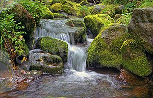 http://upload.wikimedia.org/wikipedia/commons/thumb/6/62/YeniseySayano.jpg/300px-YeniseySayano.jpg