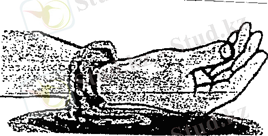 http://portal.agun.kz/e-books/content/UJU87kSguJMfYSfMNdj6/picture/2.bmp