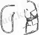 http://portal.agun.kz/e-books/content/UJU87kSguJMfYSfMNdj6/picture/7.bmp