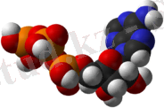 http://upload.wikimedia.org/wikipedia/commons/thumb/2/22/ATP-3D-vdW.png/200px-ATP-3D-vdW.png