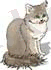 http://kzbydocs.com/tw_files2/urls_4/76/d-75323/7z-docs/1_html_41d7eb3c.jpg