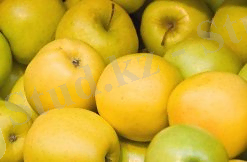 http://go2.imgsmail.ru/imgpreview?key=http%3A//www.fresh-market.pl/files/683720585/golden_01.jpg&mb=imgdb_preview_1992