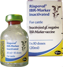 http://zoovetgarant.com.ua/img/2012/02/10.png