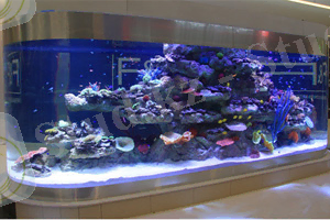 http://eng.oceanica.kz/uploads/posts/2014-05/1400585761_proj-1-thumb.jpg