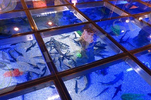 http://eng.oceanica.kz/uploads/posts/2014-10/1414768423_300-osetr-pod-polom.jpg