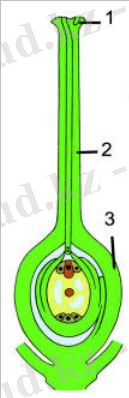 http://itest.kz/upload/images/1349784418.75.jpeg.png