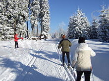 http://upload.wikimedia.org/wikipedia/commons/thumb/d/d7/Kammloipe_unweit_Gro%C3%9Fer_Kranichsee.jpg/220px-Kammloipe_unweit_Gro%C3%9Fer_Kranichsee.jpg