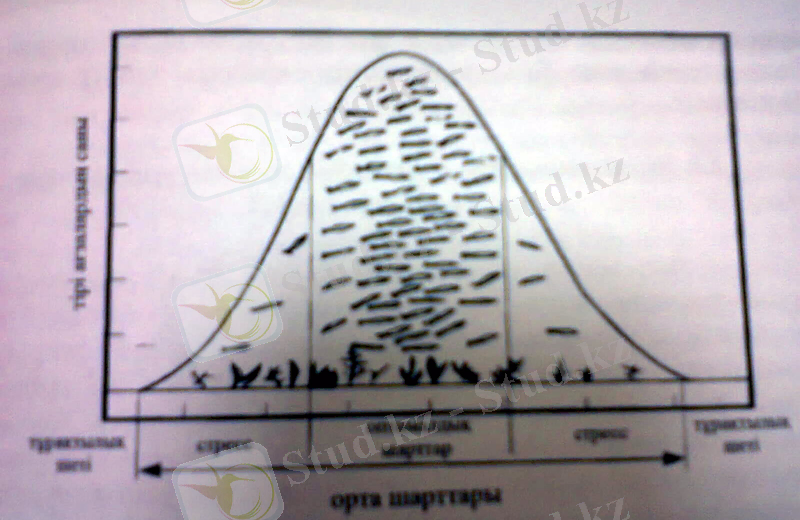 C:\Users\Ruxsara\Desktop\Фото0888.jpg