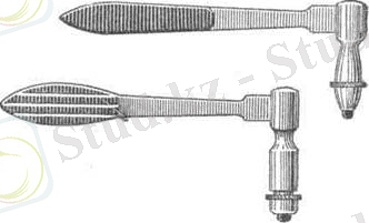 http://veterinarua.ru/images/80/image004.jpg