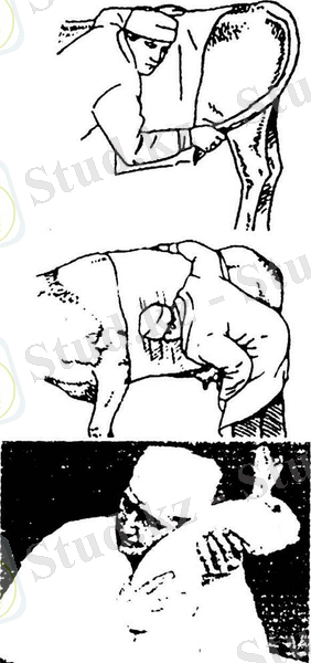 http://veterinarua.ru/images/47/image068.jpg