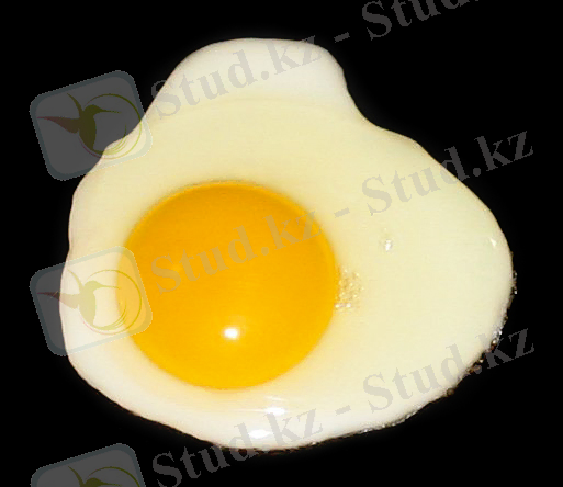 C:\Users\Use\AppData\Local\Microsoft\Windows\INetCache\Content.Word\Fried_egg,_sunny_side_up.jpg
