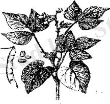 http://ok-t.ru/studopediaru/baza5/2630790464143.files/image008.jpg
