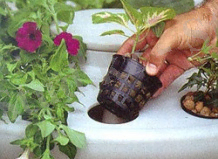 http://housecomputer.ru/private_life/housing/country_house/grower/hydroponics/what_is_hydroponics/chto-takoe-gidroponika.jpg