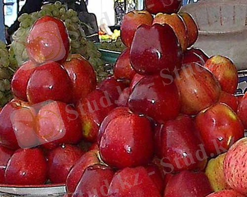 http://vesdoloi.ru/tim/ed12fd82b1a88a5e35f0f6dba487d10a/kletchatka4.jpg