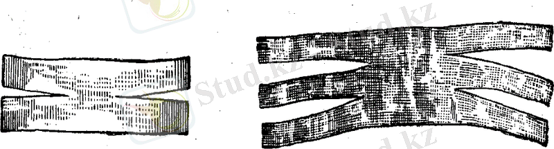 рис 004