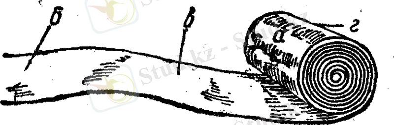 рис 007