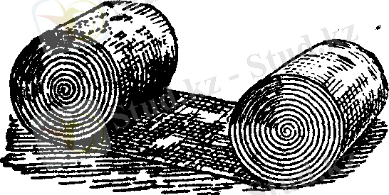 рис 008