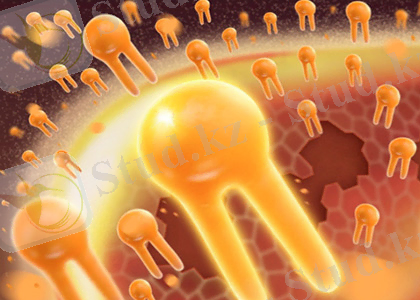 http://essentiale.ru/images/article/operation-2.jpg
