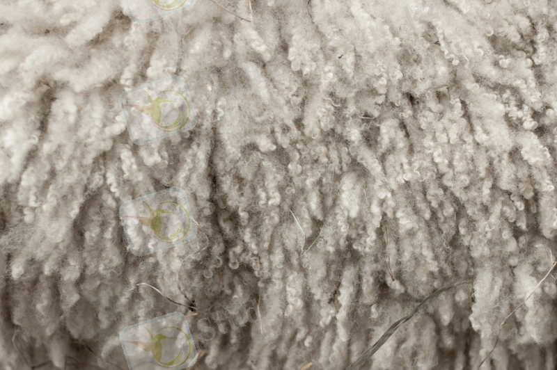 http://www.rauta.ru/img/files/admin/catalog/Istoria_textilja_wool.jpg