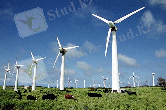 http://neftegaz.ru/images/iren/%D0%BC%D0%B5%D0%BB%D1%8C%D0%BD%D0%B8%D1%86%D0%B05.jpg