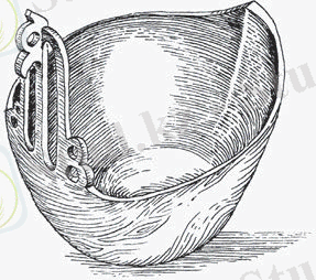 http://el.kz/media/images/tiny_images/520008080f5946f9a2695b55d102341c.png