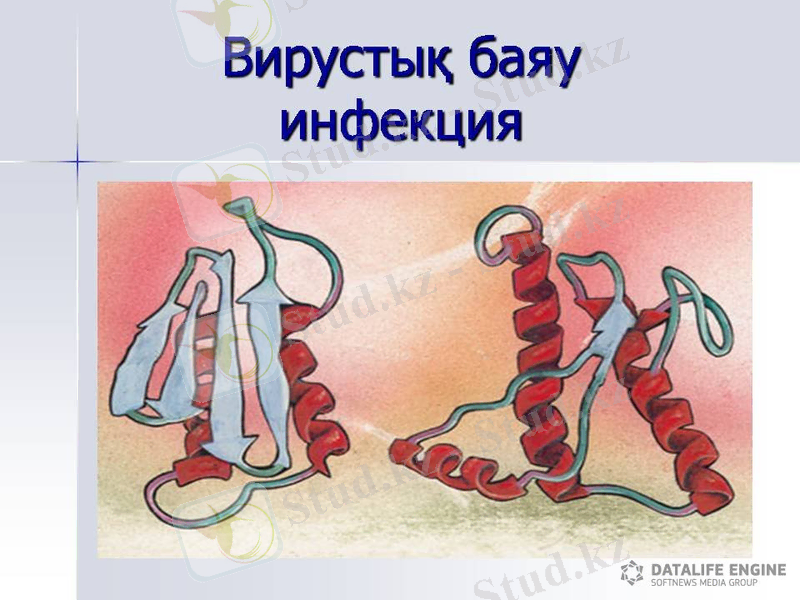 C:\Users\Alser\Desktop\1396940570_slayd5.jpg