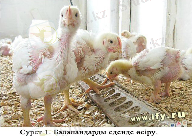 http://s40.radikal.ru/i089/1506/08/010844701190.jpg