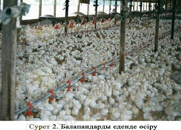 http://s012.radikal.ru/i320/1506/41/0be290164ccf.jpg