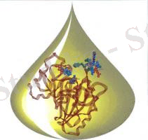 C:\Users\Alser\Desktop\lipid-211x208.jpg