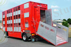 http://www.petstransfer.ru/images/krs_clip_image002.jpg