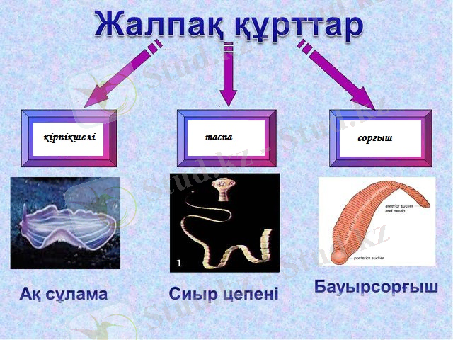 C:\Users\Самат\Desktop\img13.jpg