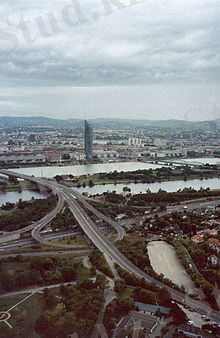 http://upload.wikimedia.org/wikipedia/kk/thumb/9/9a/Vena.jpg/220px-Vena.jpg