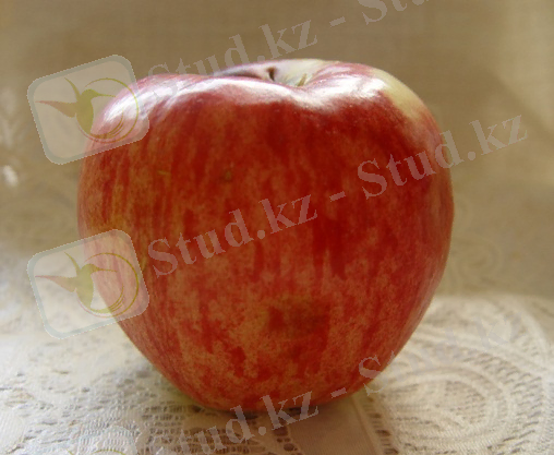C:\Users\Администратор\Desktop\116705658_large_pngz0nWEJVLVnARcbCz8PutKeWvuAi.jpg