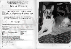 http://go1.imgsmail.ru/imgpreview?key=656a190c36634c1&mb=imgdb_preview_791