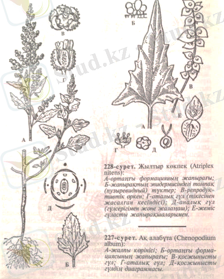http://ok-t.ru/studopedia/baza11/2791577708489.files/image405.png