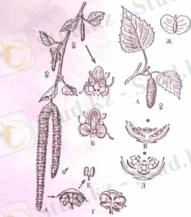 http://ok-t.ru/studopedia/baza11/2791577708489.files/image380.jpg