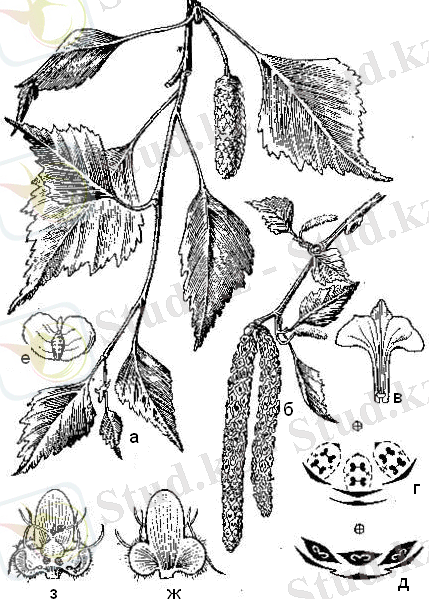 https://studfiles.net/html/2706/674/html_tGQh9tAClP.D6WM/img-RSrmKl.png