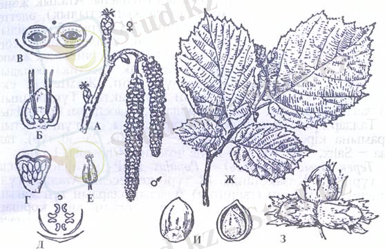 http://ok-t.ru/studopedia/baza11/2791577708489.files/image382.jpg