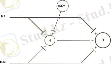 https://konspekta.net/lektsiiorgimg/baza5/1550242738783.files/image009.jpg