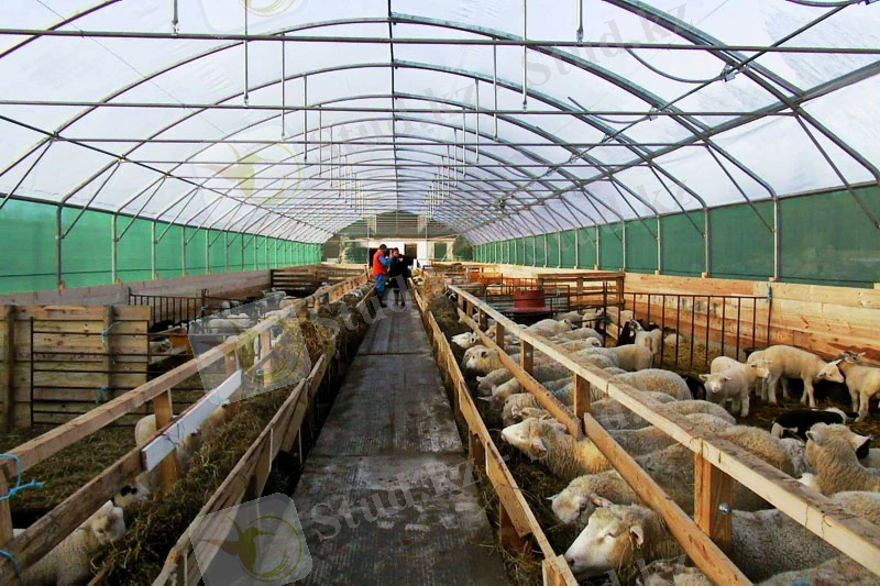 http://fermerskii-dvorik.ru/uploads/posts/2016-01/1452976826_sheep-house-eriksson-3.jpg