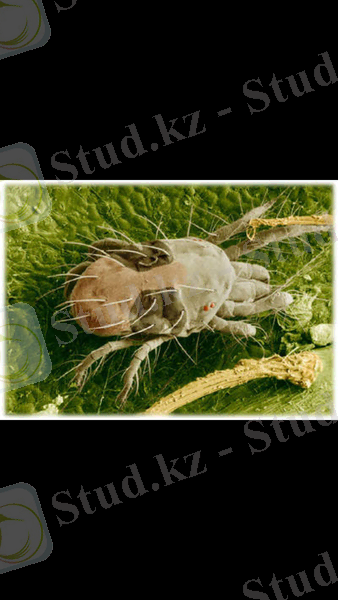 C:\Users\Администратор\Desktop\Screenshot_2014-12-01-20-27-19.png