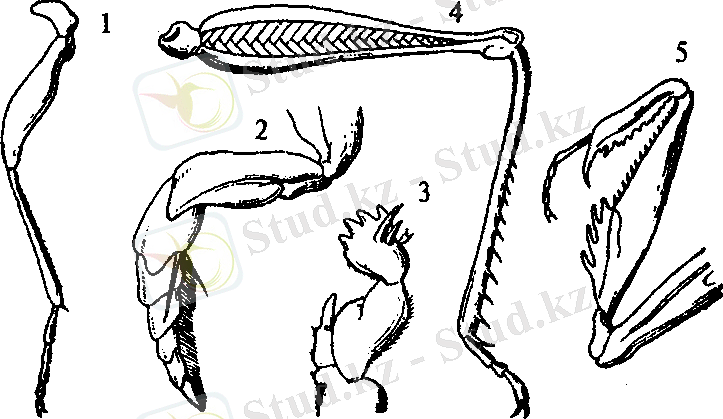 http://kaz.docdat.com/pars_docs/refs/79/78978/78978_html_m7d22fa28.png