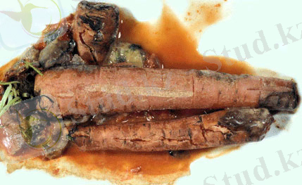 http://www.extension.umn.edu/garden/diagnose/plant/images/carrot/Diseases/bacterialsoftrot1_600px.jpg